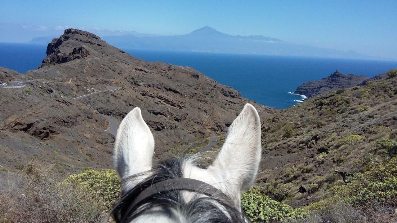 San Sebastián de la Gomera Apartamento Nek מראה חיצוני תמונה